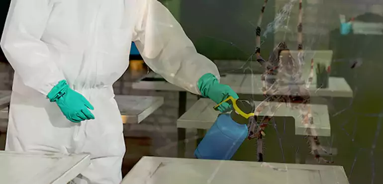 Why Buyers Still Want Homes With Pest Infestations in Augusta, GA?